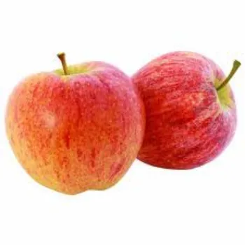 Natural fresh apple